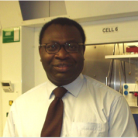 Professor Franklin Aigbirhio